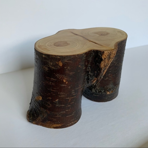 Statue, Bust, Natural Home Decor, Tree Branch Shelf Decor, crotch bust, sustaina - Picture 8 of 10